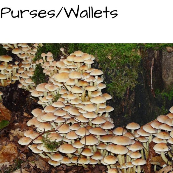 🍄 𝑷𝒖𝒓𝒔𝒆𝒔/𝑾𝒂𝒍𝒍𝒆𝒕𝒔 - Picture 1 of 1